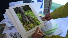 Artwork created by community members is placed throughout the sound garden in the spot the artwork was created.