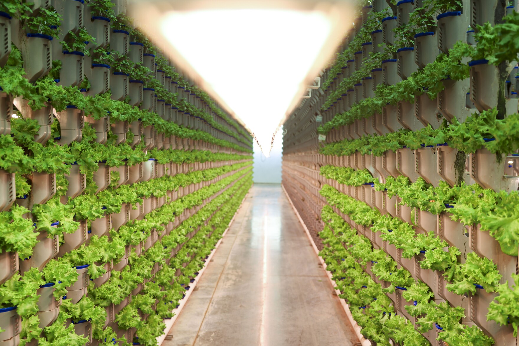 what-is-a-vertical-greenhouse-cleburne-farm-uses-less-land-and-water