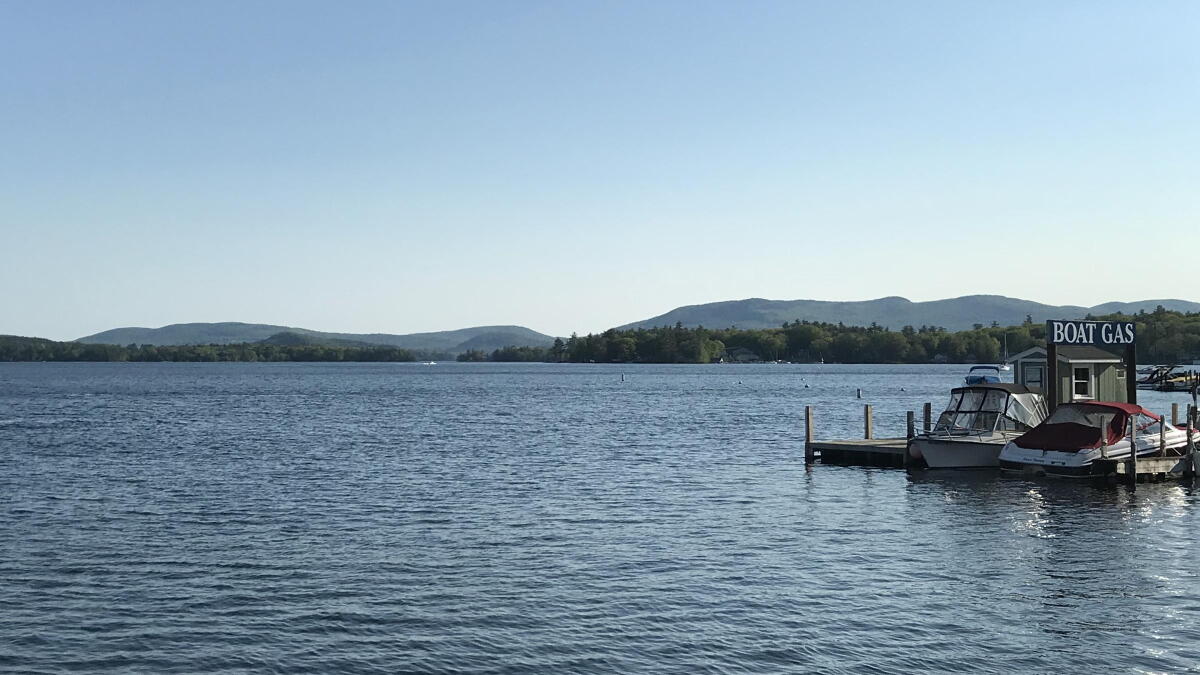 Next year's Winni Derby canceled due to salmon numbers | New Hampshire Public Radio - Vimarsana News