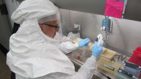 Barry Alto, an assistant professor of medical entomology at the University of Florida, works with a specimen inside a lab. A $200,000 grant will allow him and a team of researchers to improve Zika-virus detection. (Photo courtesy of Barry Alto)