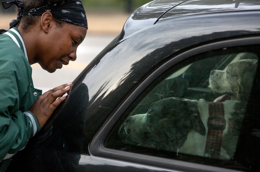 Hadah McCoy says goodbye to two of her dogs on Tuesday, Oct. 3, 2023, outside City Hall in downtown St. Louis. McCoy and her husband were unable to bring their three dogs to the shelter they were offered when a homeless encampment was cleared out on the steps of the government building.