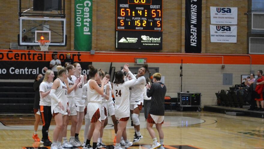 Bengals celebrating success