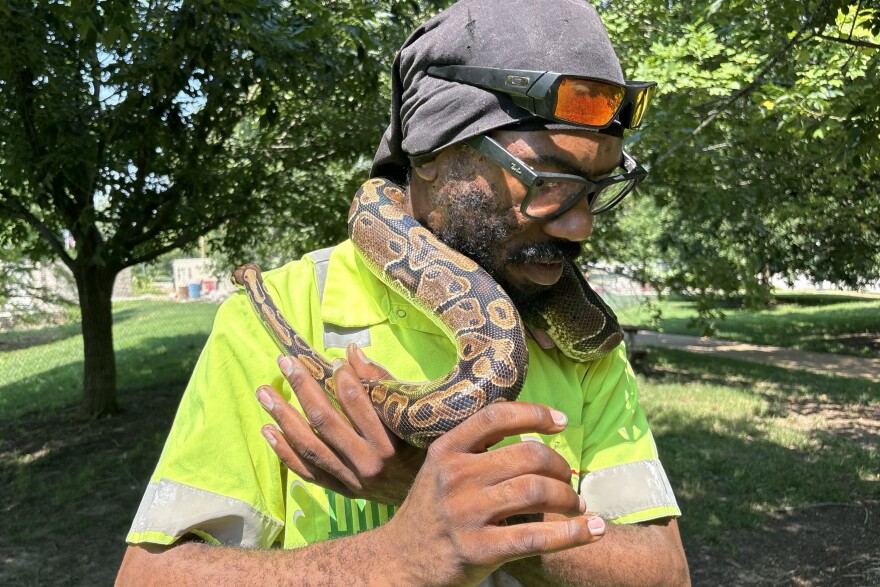 Dion Greenlee holds his ball python, Light, at Forest Park on Sunday, July 26, 2026.