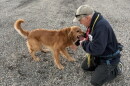 Man training a dog.
