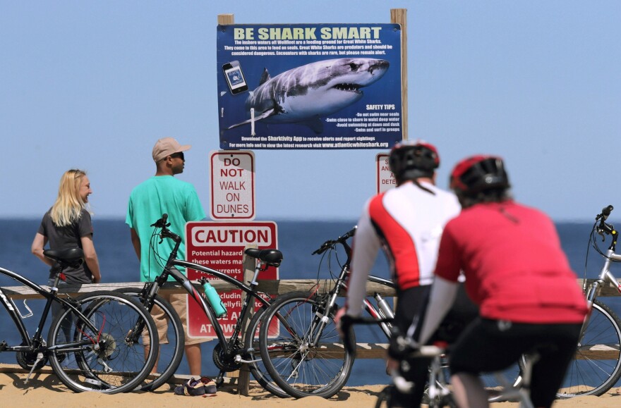Cyclist stand in front of a sign warning beachgoers about sharks at Lecount Hollow Beach on May 22, 2019, in Wellfleet, Massachusetts.