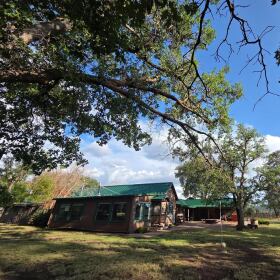A ranch building with a green roof beneath large trees