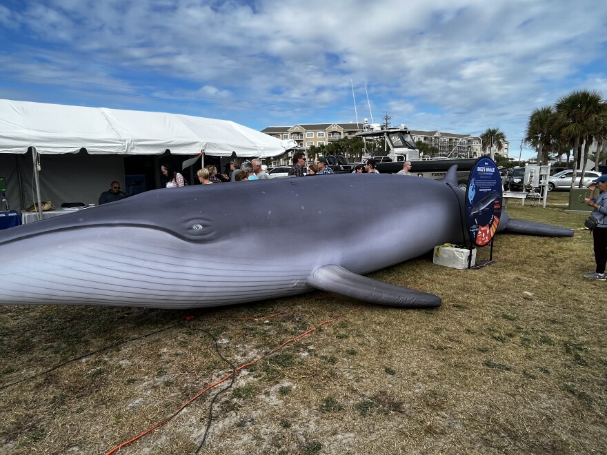 A life-size inflatable whale