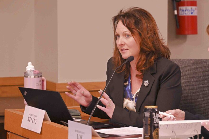 Rep. Ann Kelley, R-Lamar speaks at a podium. 