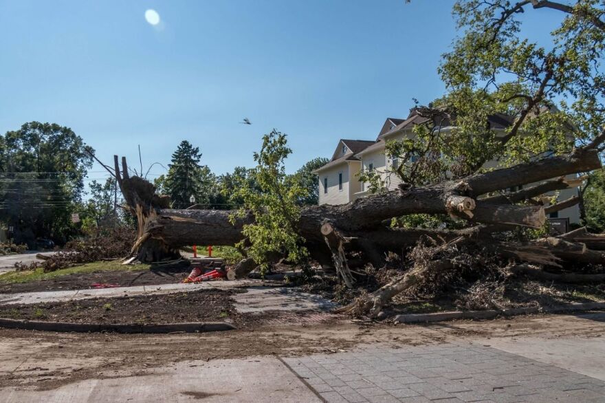 Storm damage in Grinnell after a derecho in 2020. A fallen tree lays across the yard of someone's home.