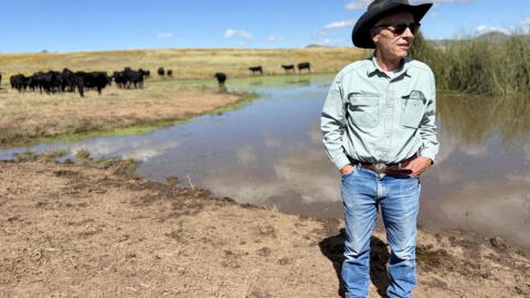 Ross Humphreys owns the San Rafael Ranch in Southern, Arizona, where construction crews are building two parallel border walls. (Peter O’Dowd/Here & Now)