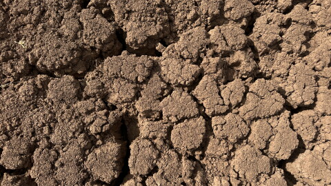 Drought has been drying out field and ponds in Oklahoma.