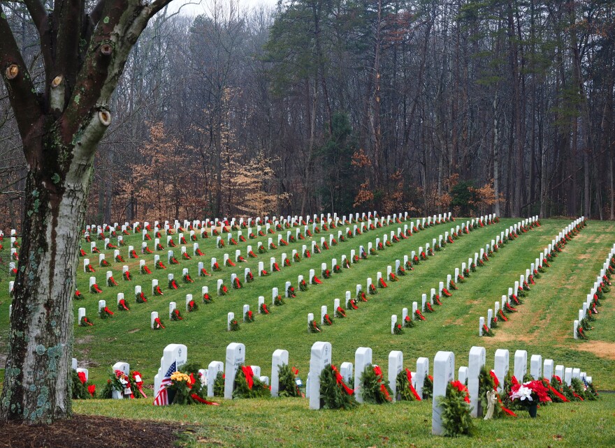 A green hillside is lined with headstones of veterans