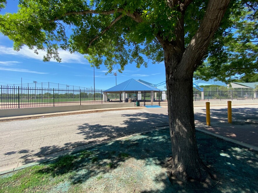 Fence at gateway park with tree in the foreground. 