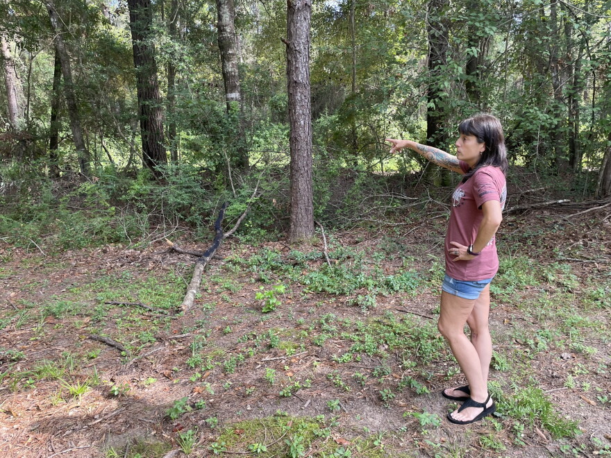 Erica Olmstead points to the property where the dirt pit just on the other side of the trees from her backyard on August 20, 2026.  "I have chronic bronchitis and lung issues from my deployment to Iraq in 2010. One of my 100% disability ratings is for bronchitis, so having all that dust and all that stuff in the air would be really, really bad for me," she said.