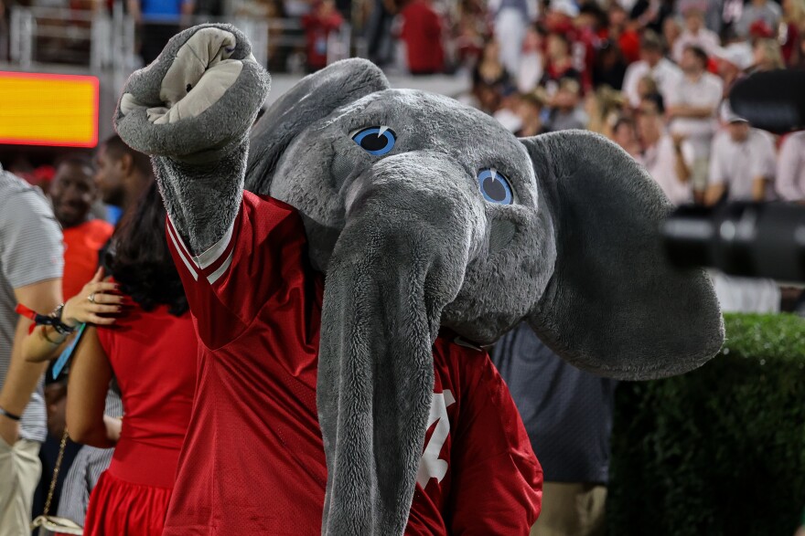 Alabama mascot Big Al reacts during the first half of an NCAA college football game against Georgia, Saturday, Sept. 27, 2025, in Athens, Ga. (AP Photo/Colin Hubbard)