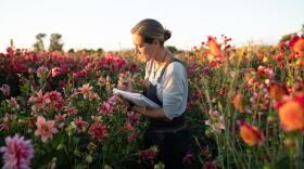 All photos by Chris Benzakein, courtesy of Floret Flower Farm, all rights reserved.