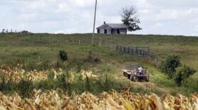 Stephen Gross ferried two empty tobacco wagons to the fields to pick up the next load of burley.