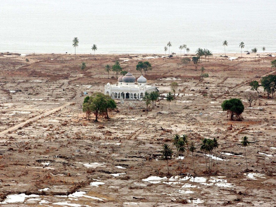 A lone mosque that survived devastating tidal waves sits amid the ruins of the village of Lhoknga, outside the provincial capital Banda Aceh, on Jan. 3, 2005. The mosque became a symbol of the tsunami's destruction.
