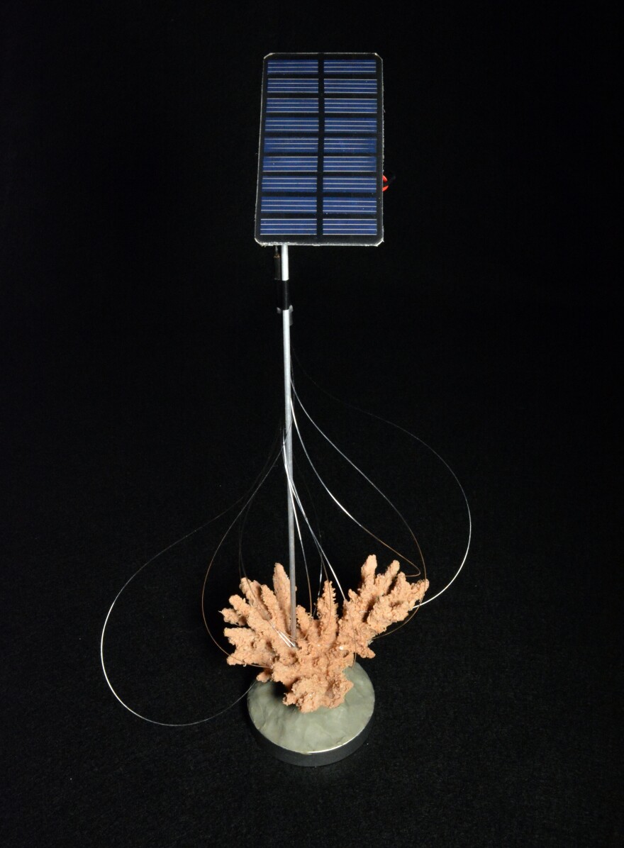 <strong>Fiber Optics for Corals: </strong>This design would provide an alternate energy source for coral, when polluted oceans prevent adequate sunlight from passing through the water. "We are building into our power grids ever more redundancy," Keats says. "Looking to have multiple possible sources for energy in order to make up for the fact that none of them is necessarily reliable."