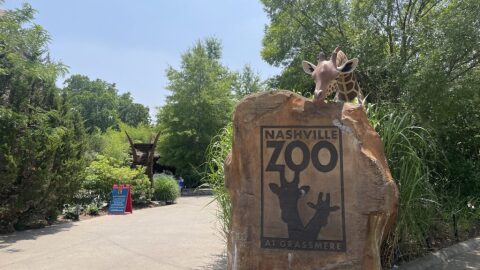 A proposed data center near the Nashville Zoo has elicited pushback from the community, the Metro Council, Mayor Freddie O'Connell and Sen. Marsha Blackburn.
