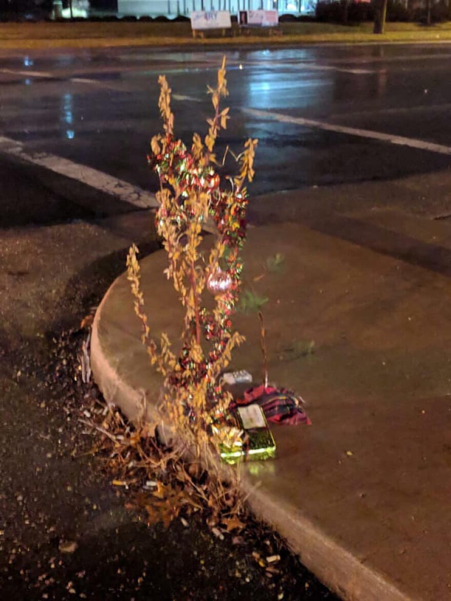 The Toledo Christmas Weed had humble beginnings. But like Drake said, "Started from the bottom, now we're here."