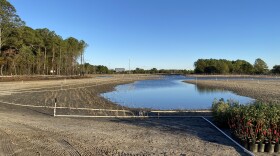 The site of the controversial wetlands project at Pleasure House Point in Virginia Beach, where the city cleared thousands of trees earlier this year. As seen Tuesday, Nov. 11, 2025.