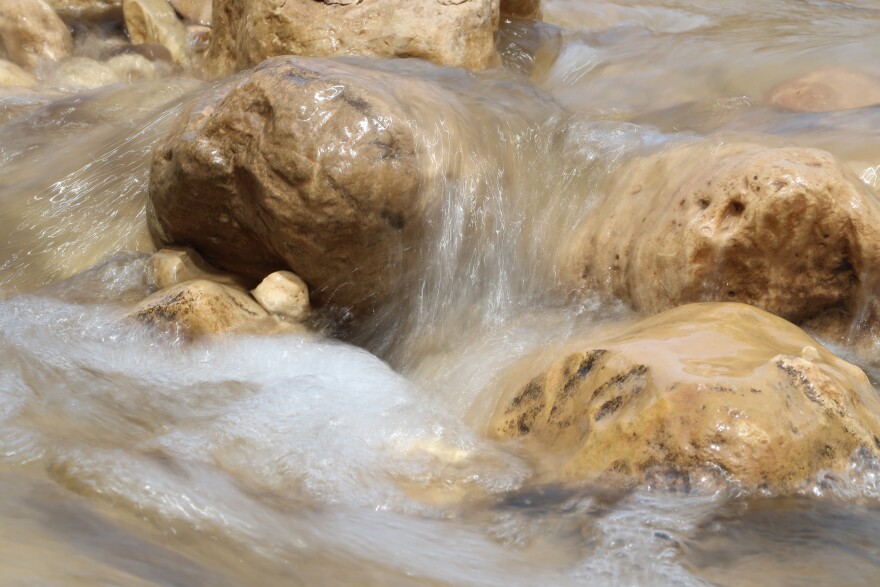 Kanab Creek, a major tributary of the Grand Canyon, in the spring. During certain times of the year, the creek is dry.