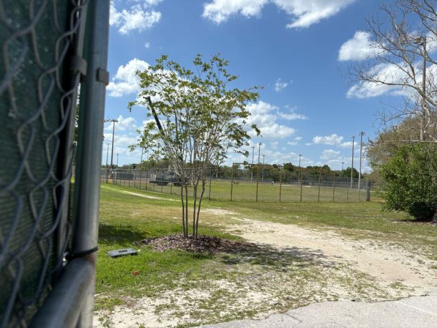 A fenced-in field with a tree in the foreground and a gateon the left