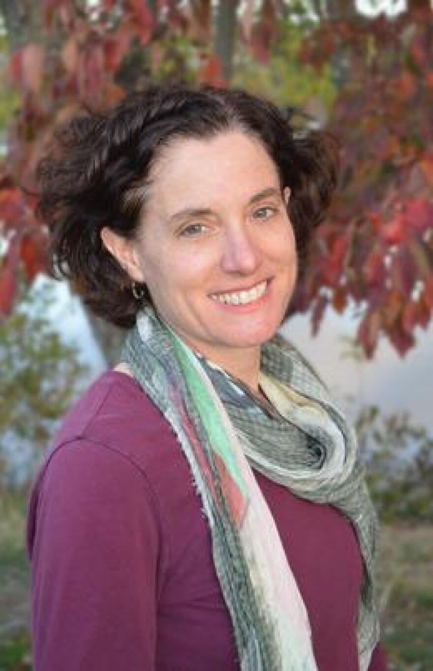 Author and UNC-Asheville literature professor Lori Horvitz