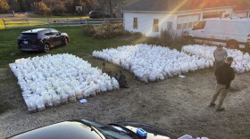 This photo, released by the Connecticut State Police, shows bags of psychedelic mushrooms removed from a home in Burlington, CT, Thursday, Nov. 2, 2023. Federal, state and local authorities allege they found a clandestine mushroom-growing factory, containing psilocybin mushrooms in various stages of growth, with an estimated total street value of $8,500,000. (Connecticut State Police via AP)