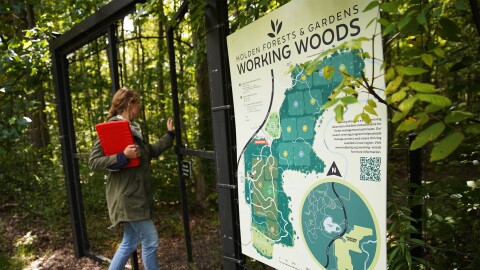 Kimberly Lessman, who manages the Holden Forests and Gardens seed bank, enters an area on Holden's campus called the Working Woods on Wednesday, Sept. 13, 2023.