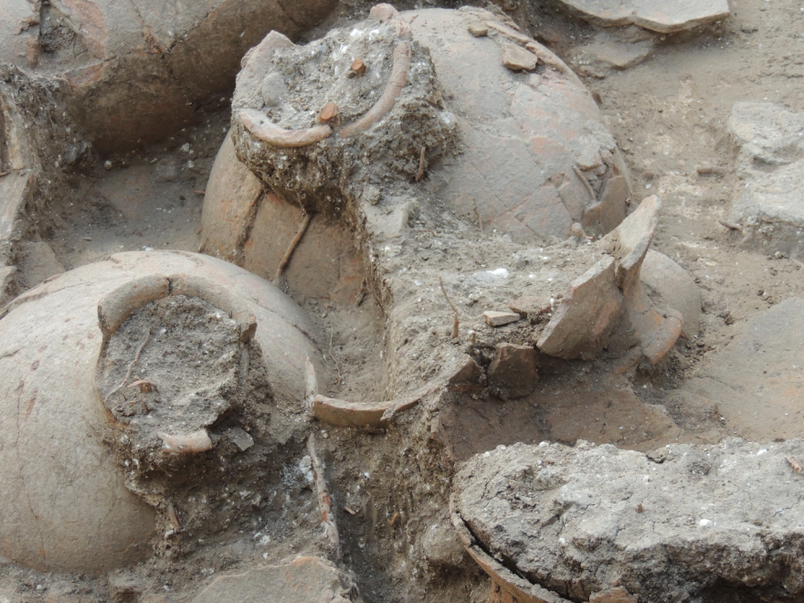Now that's a magnum: Each wine jug found at the palace in Kabri, Israel, could hold more than 13 gallons, or 75 bottles, of wine.