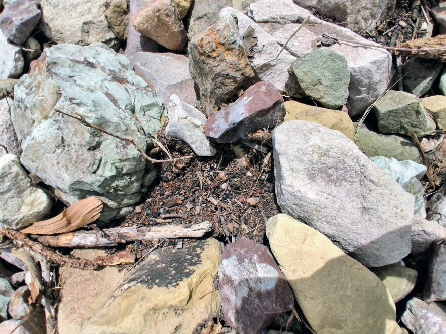 Fine sediment, woody material and other small debris collected among larger rocks moved downhill by recent monsoonal runoff in the Ferris Fire burn area.
