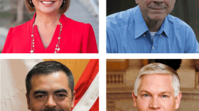 Clockwise from top left: Renee Swan, Rick Kennedy, Pete Sessions and David Jaramillo, make up the four hopefuls to represent the sprawling 17th District in Congress.