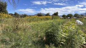 High Desert Seeds + Gardens farm in Paonia, Colorado.