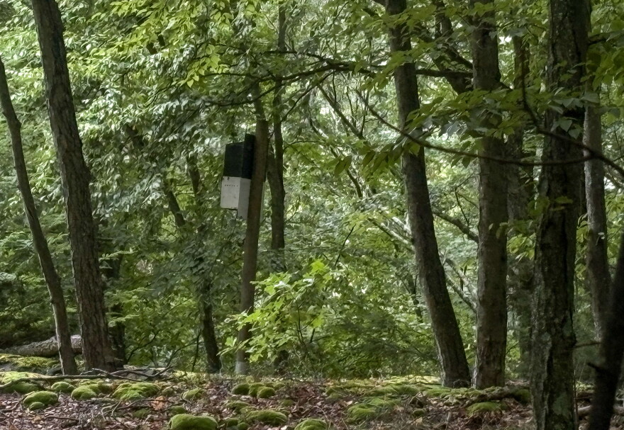 A bat box on state game lands. The top is painted black to gather heat for the winged mammals.