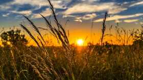 An automatic alert from LGE-KU led Berea Municipal Utilities officials to issue a Facebook post suggesting ways customers can conserve electricity during the current heat wave