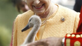 By law, all wild swans in Great Britain belong to Queen Elizabeth.
