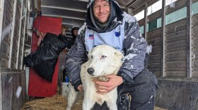 A man in musher's gear kneeling with his arms around a white, blue-eyed sled dog