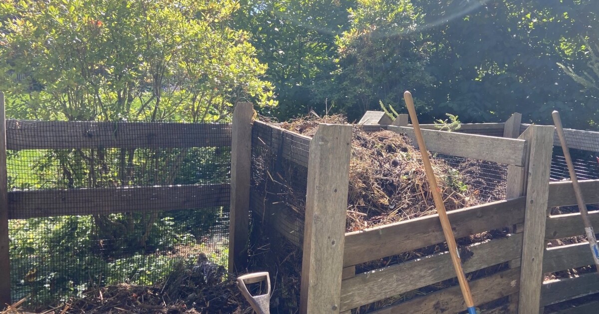 Homegrown NH: Are DIY fertilizers the secret to healthier garden soil?