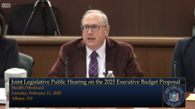 Department of Health Commissioner James McDonald fields questions from lawmakers Tuesday, Feb. 11, 2025.