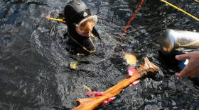  Archeaologist Neil Puckett swims with a mastodon bone he dug up from the bottom of the Aucilla River. 