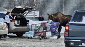 a woman points her finger at a moose