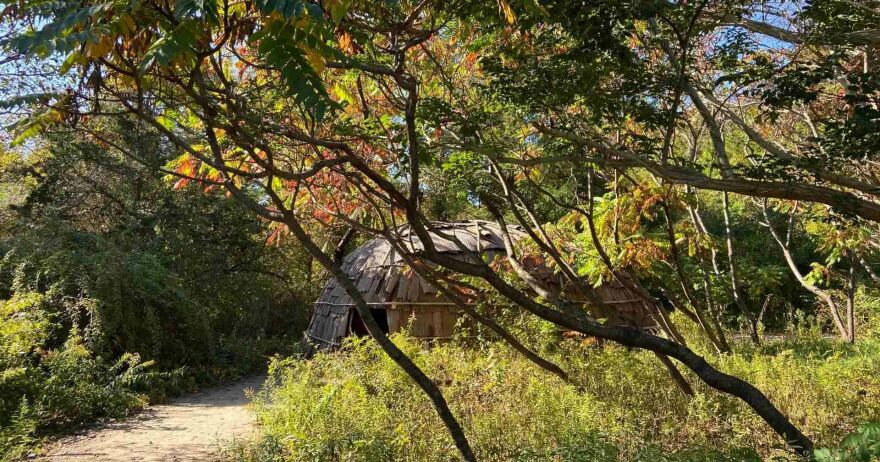 Native wetu at the Historic Patuxet site.