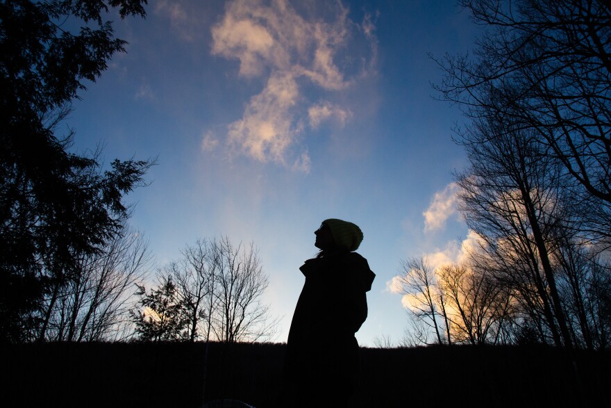 A photo of a person's silhouette with tree silhouettes against blue evening sky with orange-y clouds.