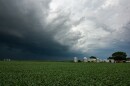 Incoming Derecho approaching across corn fields.