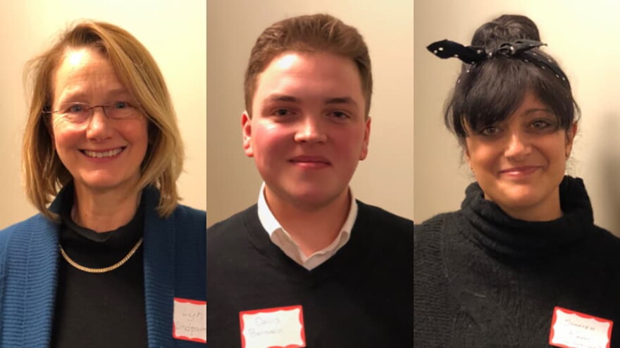 New Hampshire voters: Lyn Lindpaintner (left), Davis Bernstein (center) and Somayeh Kashi (right). (Here & Now)