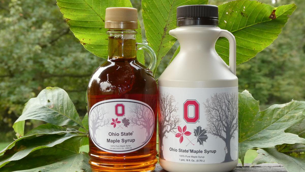 Ohio State is tapping into state's sweetest crop: maple syrup - Vimarsana News