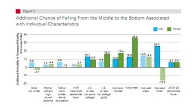 Factors in downward mobility.