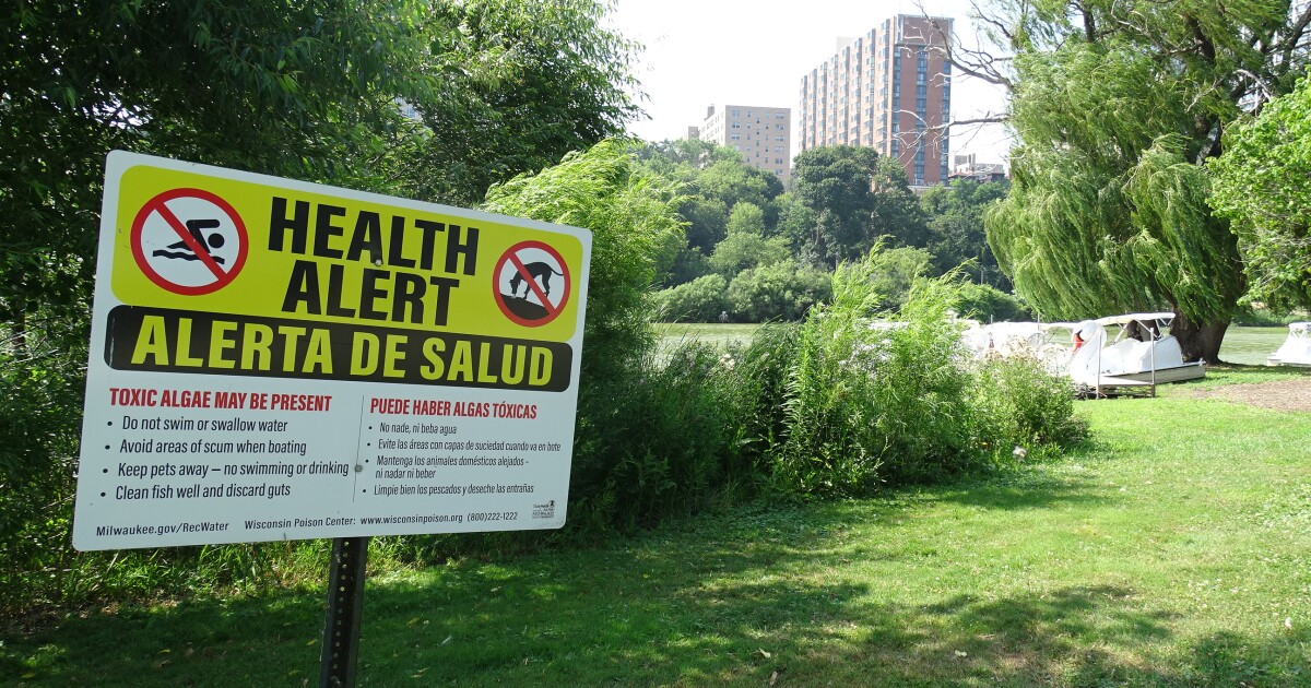 Public input important to Veterans Park lagoon restoration